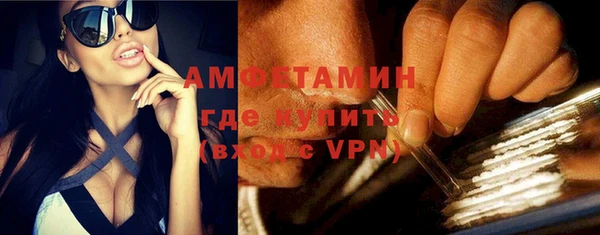 МДПВ Дмитриев