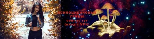 МДПВ Дмитриев