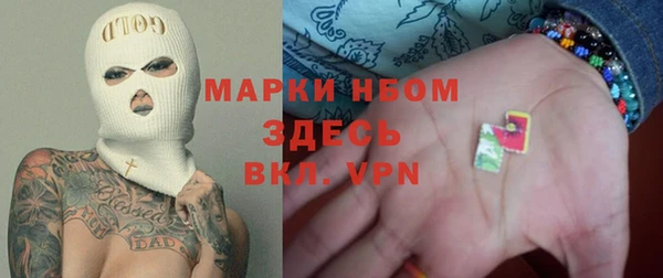 трава Ельня