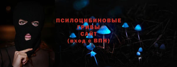 трава Ельня