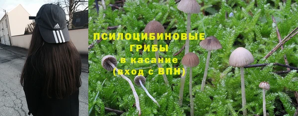 первитин Елабуга