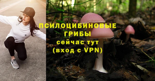 ПСИЛОЦИБИНОВЫЕ ГРИБЫ Елизово