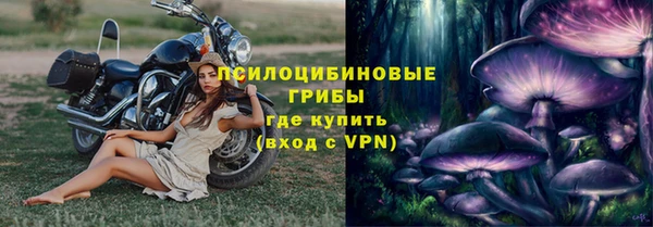 ПСИЛОЦИБИНОВЫЕ ГРИБЫ Дмитровск