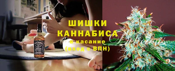ПСИЛОЦИБИНОВЫЕ ГРИБЫ Елизово