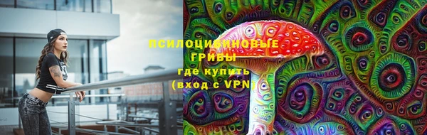 PSILOCYBIN Дмитров