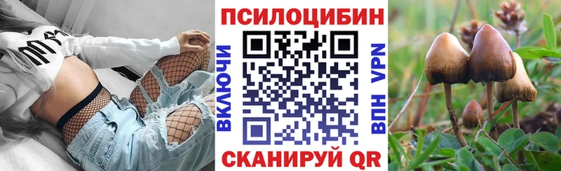 Купить закладки  Кстово  Галлюциногенные грибы GOLDEN TEACHER 