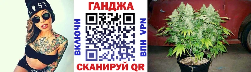 Купить  Кстово  Канабис планчик 